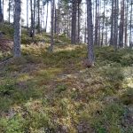 Bommersvik 2