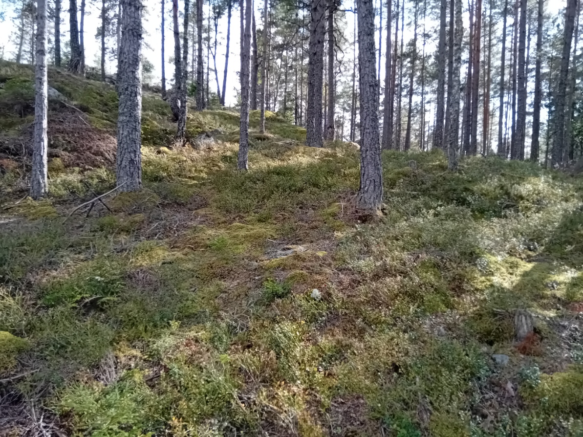 Bommersvik 2