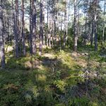 Bommersvik 3
