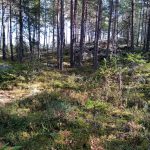 Bommersvik 4