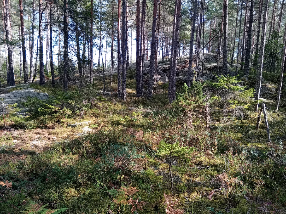 Bommersvik 4