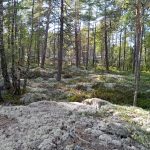 Bommersvik 5