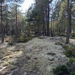 Bommersvik 6