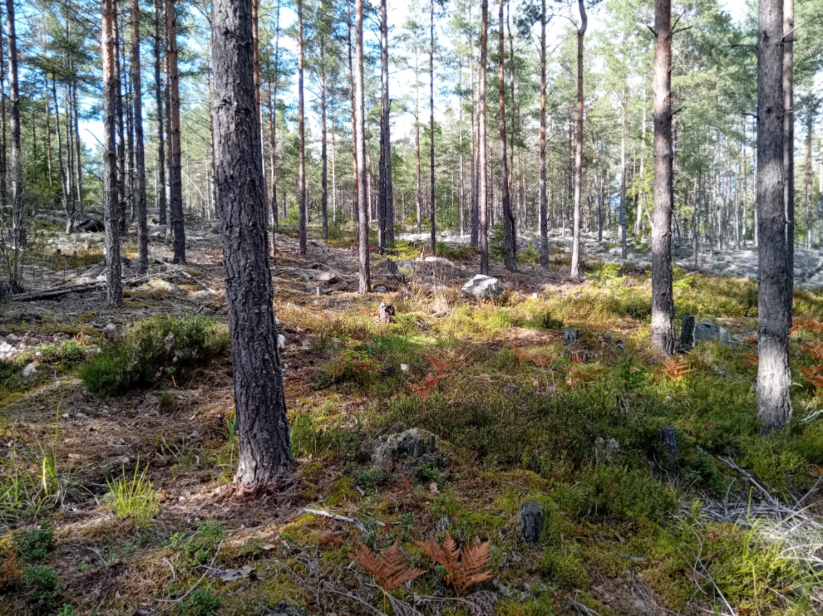 Bommersvik 8