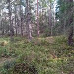 Bommersvik 9