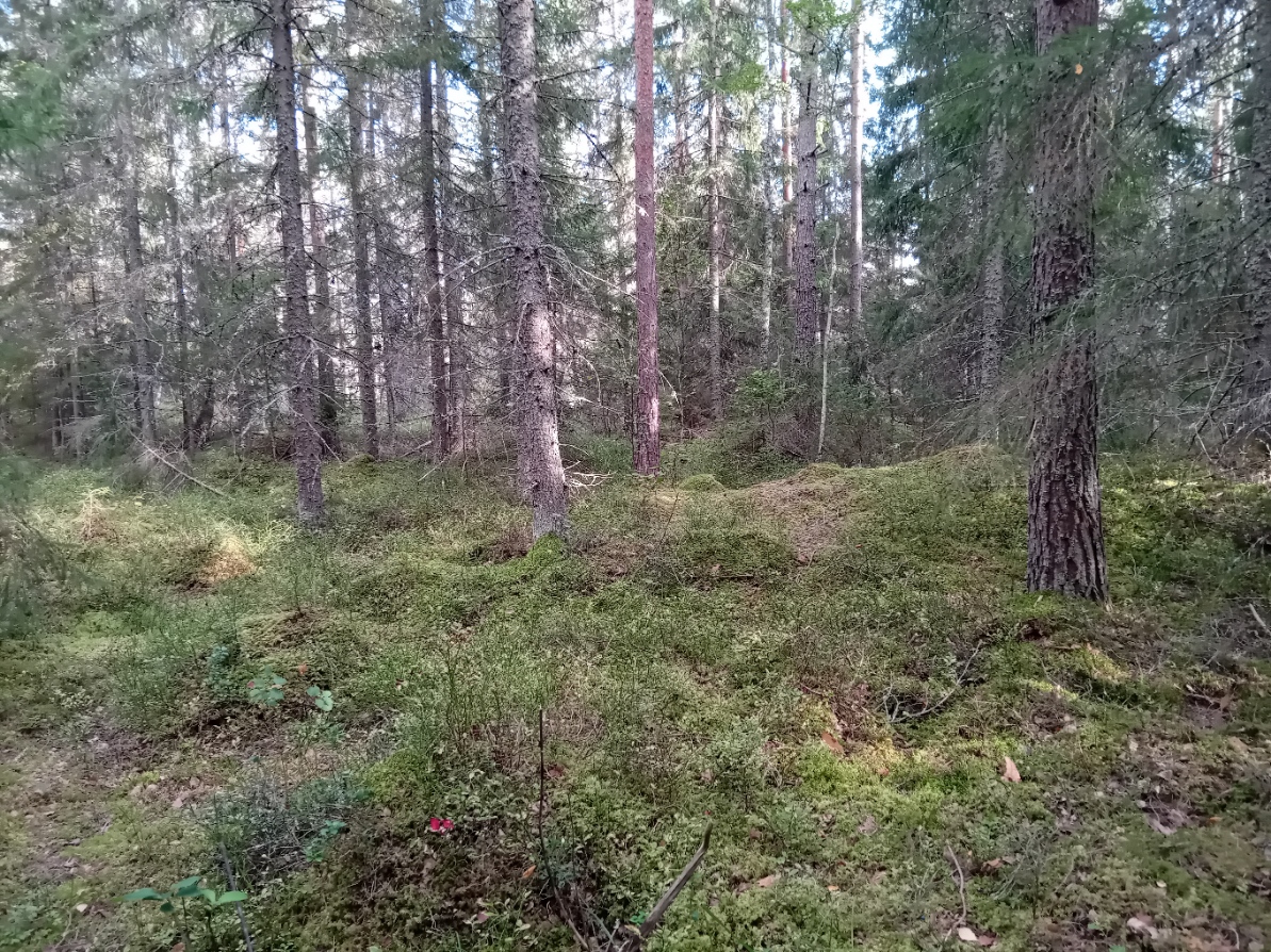 Bommersvik 9