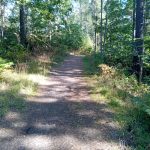 Torekällberget 1