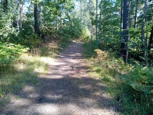 Torekällberget 1