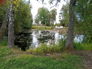 Torekällberget 10