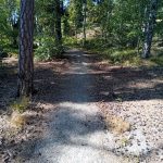 Torekällberget 2