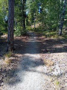 Torekällberget 2