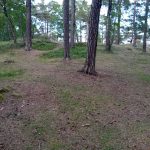 Torekällberget 7