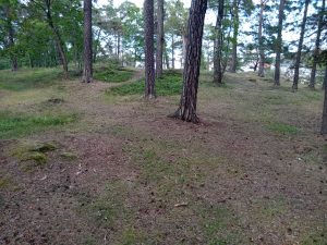 Torekällberget 7